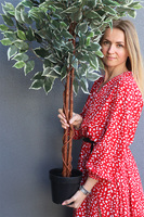 Fikus Benjamin M, sztuczna roślina w doniczce