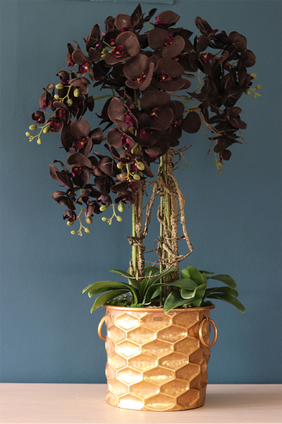 Aubergine Black, sztuczny storczyk w złotej donicy, wys.108cm