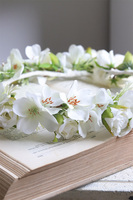 Oise, komunijny wianek na głowę, rozmiar uniwersalny