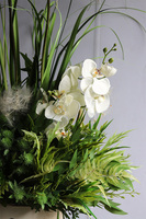 Grenoa Glamour 2, kompozycja z trawą i storczykiem