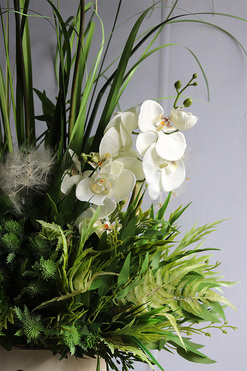 Grenoa Glamour 2, kompozycja z trawą i storczykiem, wys.74cm