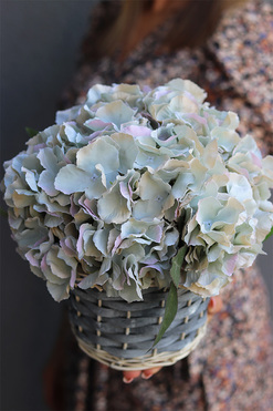 kosz z szarymi hortensjami, Delicato, wys.25cm