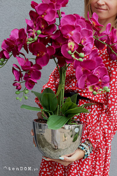 Iwona, fioletowy storczyk w lustrzanej donicy