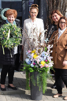 Spring Collection, wiosenna kompozycja roślinna