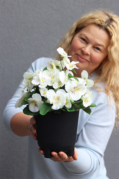 Bratki, białe bratki w naczyniu na nóżkach, wys.36cm