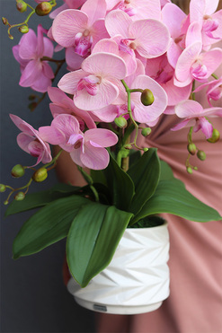 Pink Orchina, różowy storczyk w białej doniczce, wys.55cm