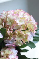 doniczkowa hortensja Kremowo-Różowa, wysokiej jakości sztuczne kwiaty