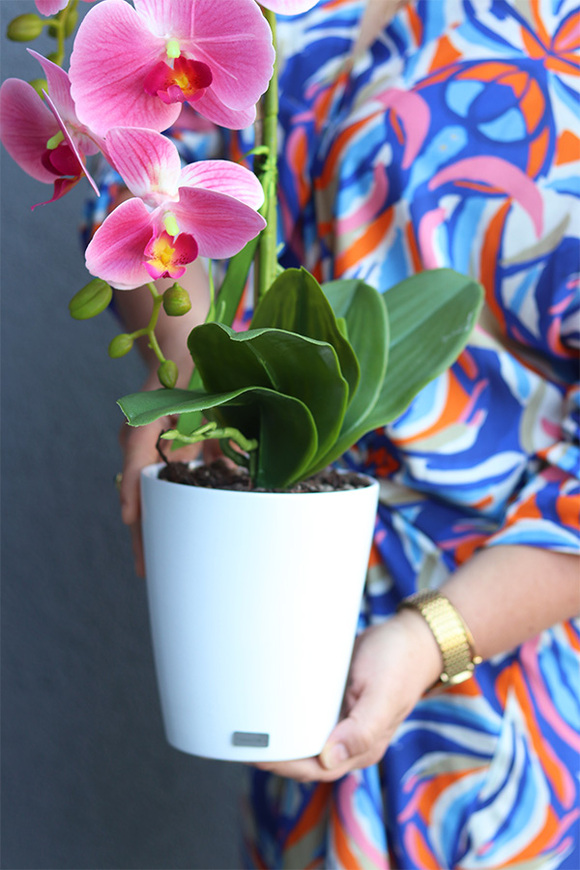 Pink Basics, gumowy storczyk w białej donicy