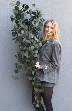 OD RĘKI Eucalipto, bukiet wiszący, dł.130cm