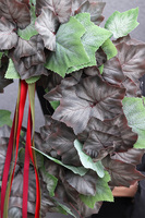 Jesienne Rumieńce 2, jesienny wianek na drzwi