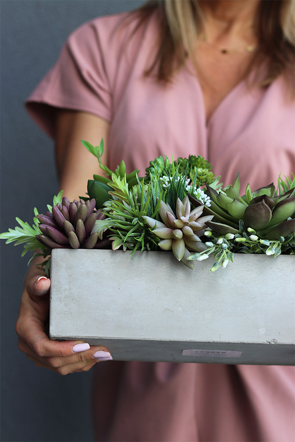 kompozycja Sukulenty Regallo w betonowej donicy