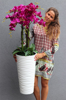 Gizelle Fuksja, wysoki sztuczny storczyk w białej donicy