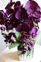 Purple Silveria 2, fioletowy storczyk w srebrnej donicy