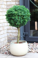 Drzewko Bukszpan Ares, sztuczna roślina w doniczce tendom.pl