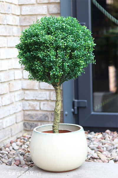 Drzewko Bukszpan Ares, sztuczna roślina w doniczce tendom.pl