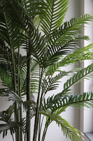 Areca Ibis Concrete, sztuczna palma w betonowej donicy