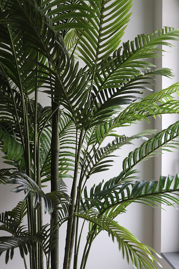 Areca Ibis Concrete, sztuczna palma w betonowej donicy