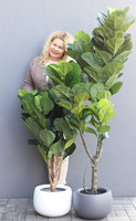 Fikus Dębolistny Walter White, sztuczna roślina w donicy fiberglass