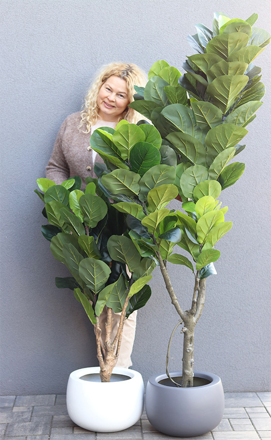Fikus Dębolistny Walter White, sztuczna roślina w donicy fiberglass
