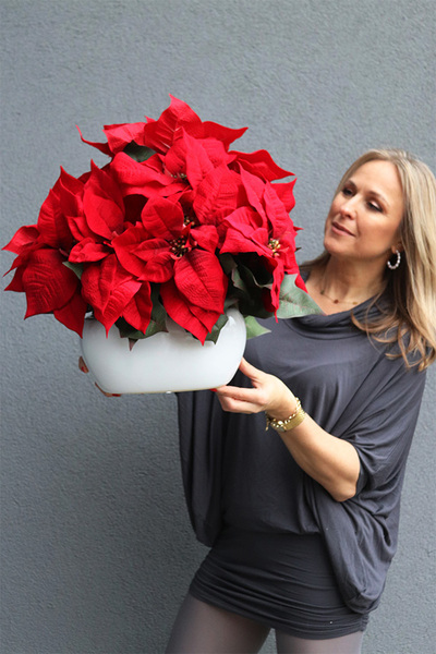 Red House, wysokiej jakości Gwiazda Betlejemska