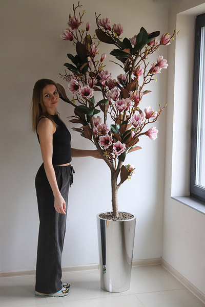 Magnolia Silveria, sztuczne drzewko w donicy