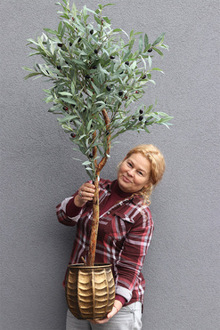 Oliwka Bellis 2, sztuczne drzewko w metalowej donicy, wys.146cm