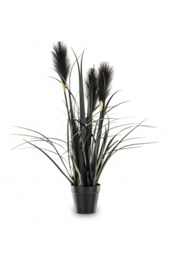sztuczna trawa Pióropusze, czarny, wys.55cm 