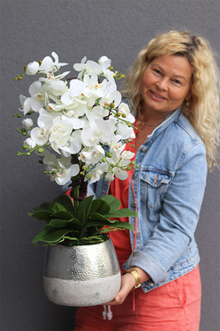 Modern Home Big, sztuczny storczyk w biało-srebrnej osłonce, wys.67cm