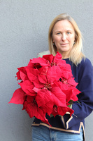 Gwiazda Betlejemska Gold, wysokiej jakości sztuczna roślina