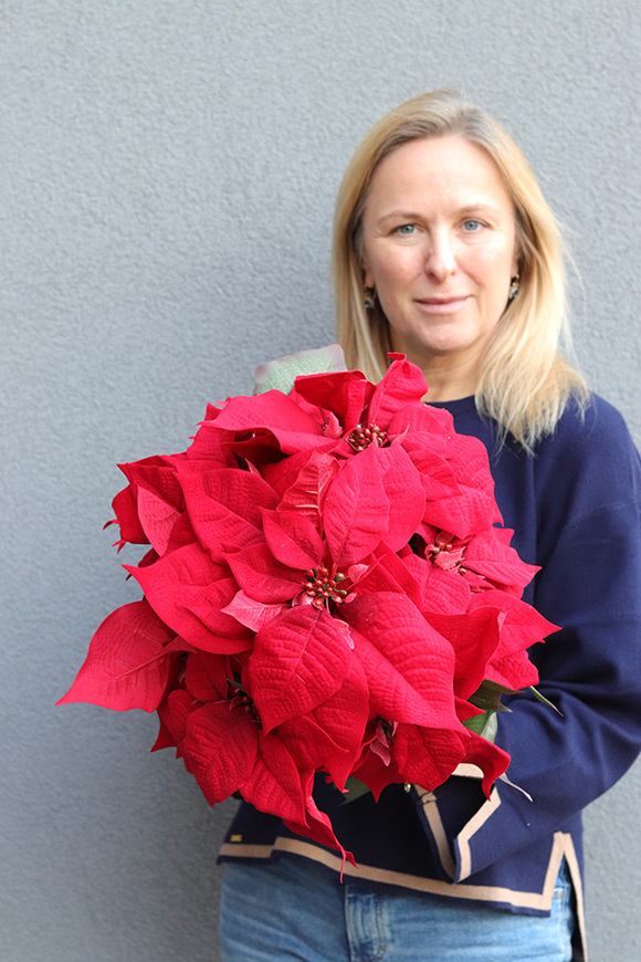 Gwiazda Betlejemska Gold, wysokiej jakości sztuczna roślina