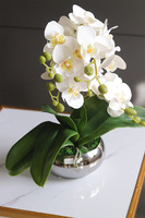 Krena Mini 2, gumowy storczyk w lustrzanej doniczce