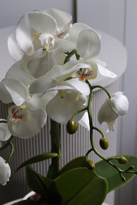 Fornasetta Silent, sztuczny storczyk w ozdobnej donicy