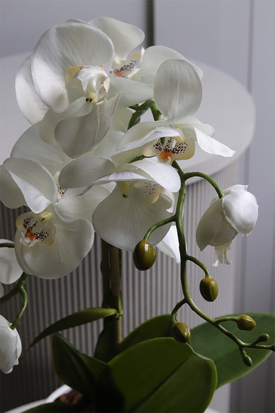 Fornasetta Silent, sztuczny storczyk w ozdobnej donicy