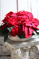 Gwiazda Betlejemska Biała Villa, wysokiej jakości sztuczna roślina, wym.30x50cm 