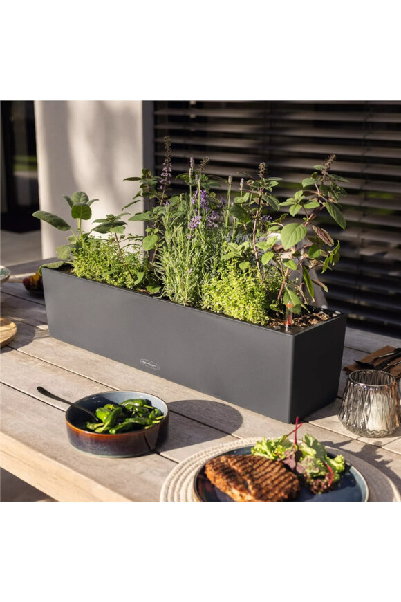 Balconera Color, plastikowa donica z nawadnianiem