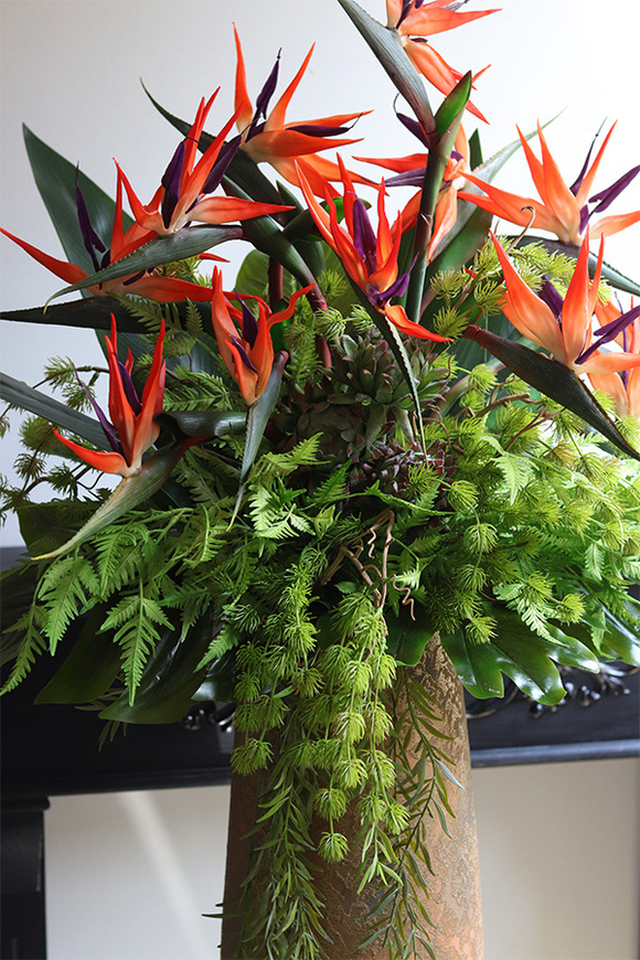 Gold Princera Strelicja, kompozycja w złotej donicy	