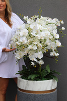 Konstancin, sztuczny storczyk w luksusowej donicy