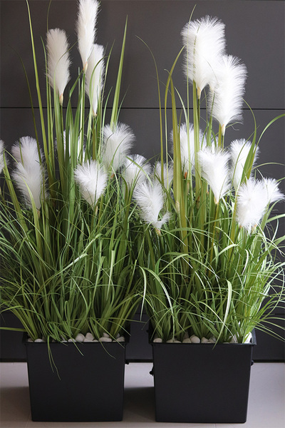 Regina White Saute sztuczna trawa do twojej donicy