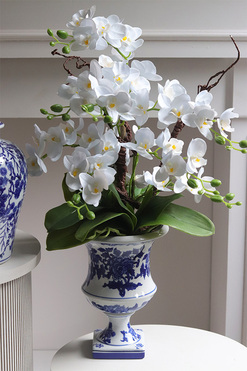 Mamma Mia!, storczyk w ceramicznym pucharze, wys.60cm