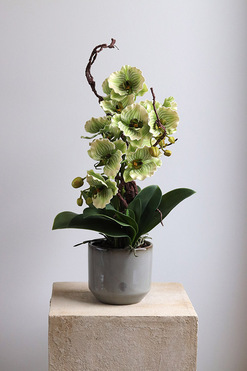 OD RĘKI Pistacio, zielony sztuczny storczyk w ozdobnej donicy, wys.53cm