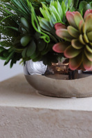 Silver Piano, kompozycja sukulenty w okrągłej donicy
