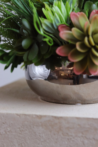 Silver Piano, kompozycja sukulenty w okrągłej donicy