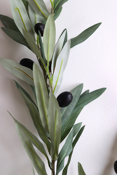 Oliwka, gałązka sztuczna roślin
