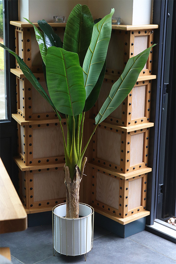 Bananowiec, sztuczne drzewko w donicy