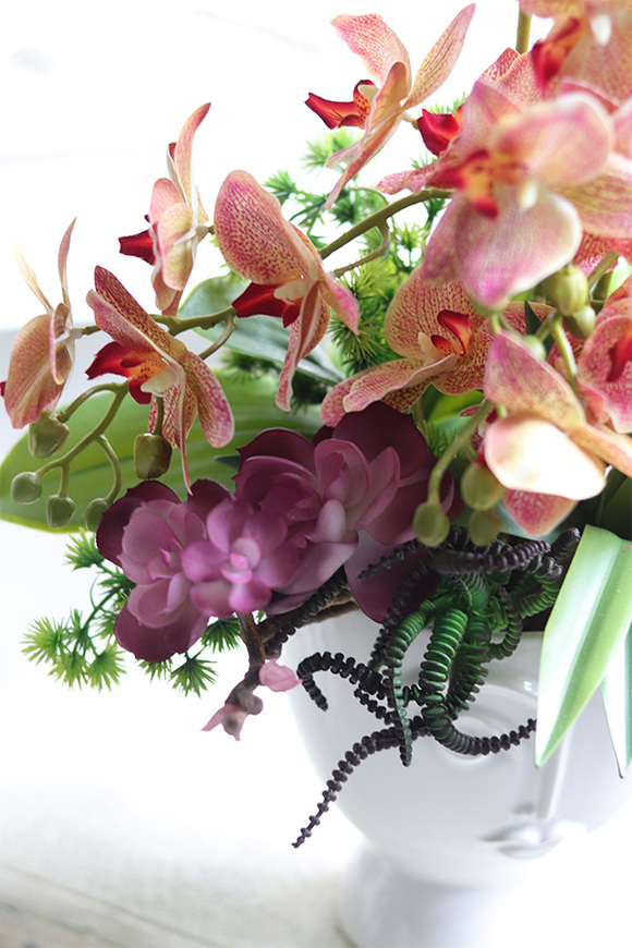 Castellamare Granada, gumowy storczyk w osłonce z twarzą