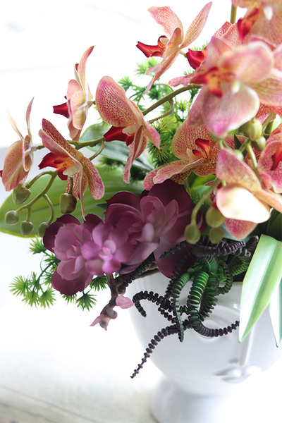 Castellamare Granada, gumowy storczyk w osłonce z twarzą