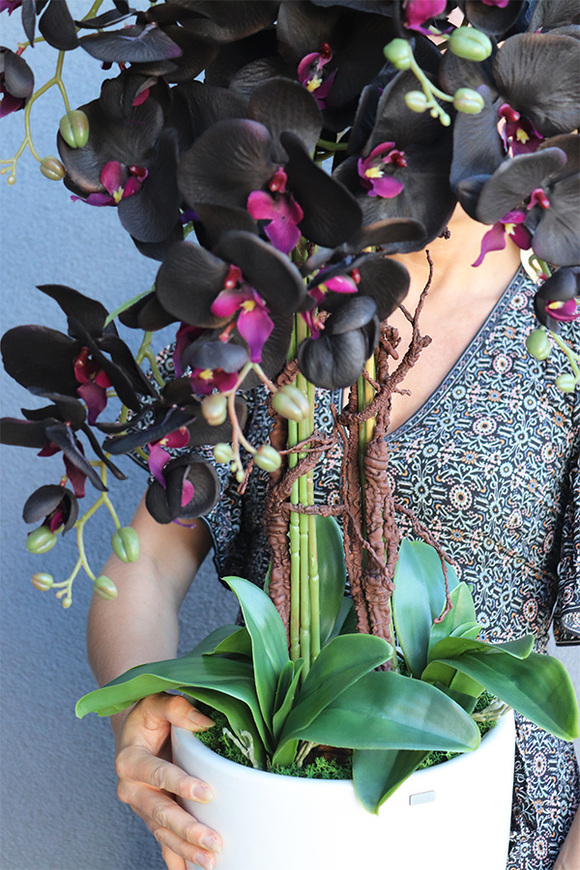 Aubergine New, sztuczny storczyk w białej donicy