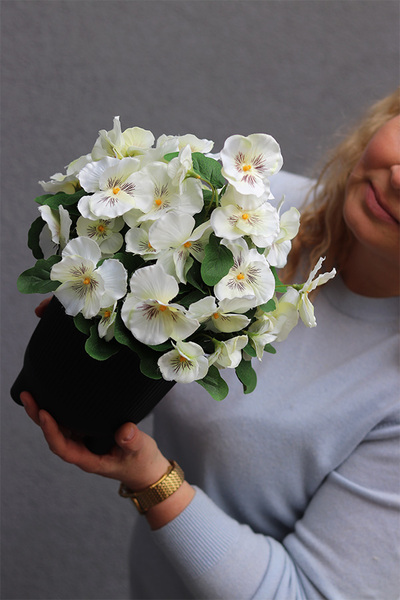 Bratki, białe bratki w naczyniu na nóżkach