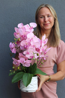 Pink Orchina, różowy storczyk w białej doniczce