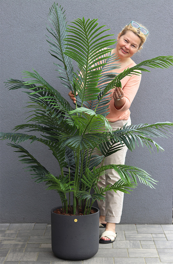  Areca Concretano, sztuczna palma w betonowej donicy